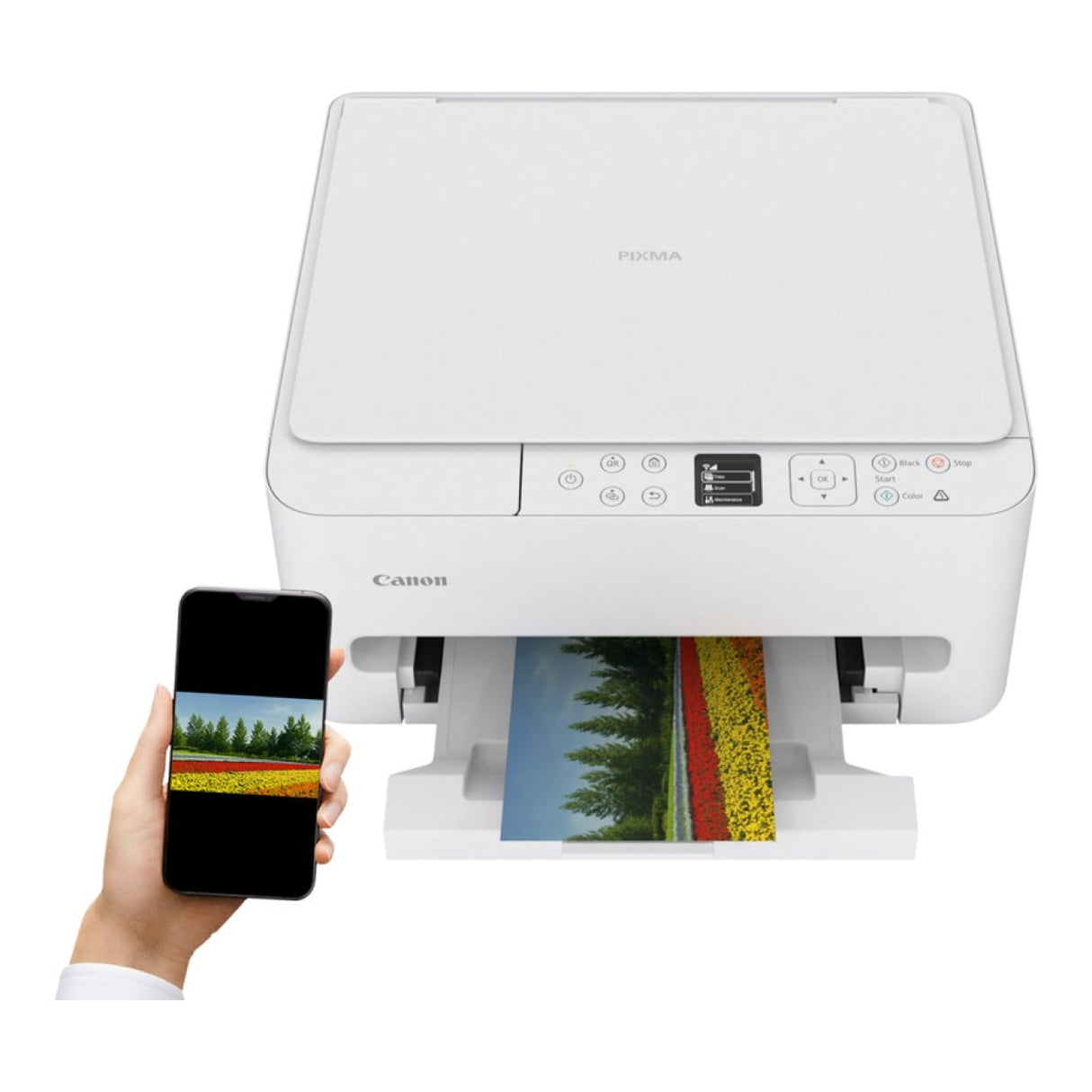Canon PIXMA TS6540i A4 Wi-Fi Multifunction Colour Inkjet Printer 7179C009
